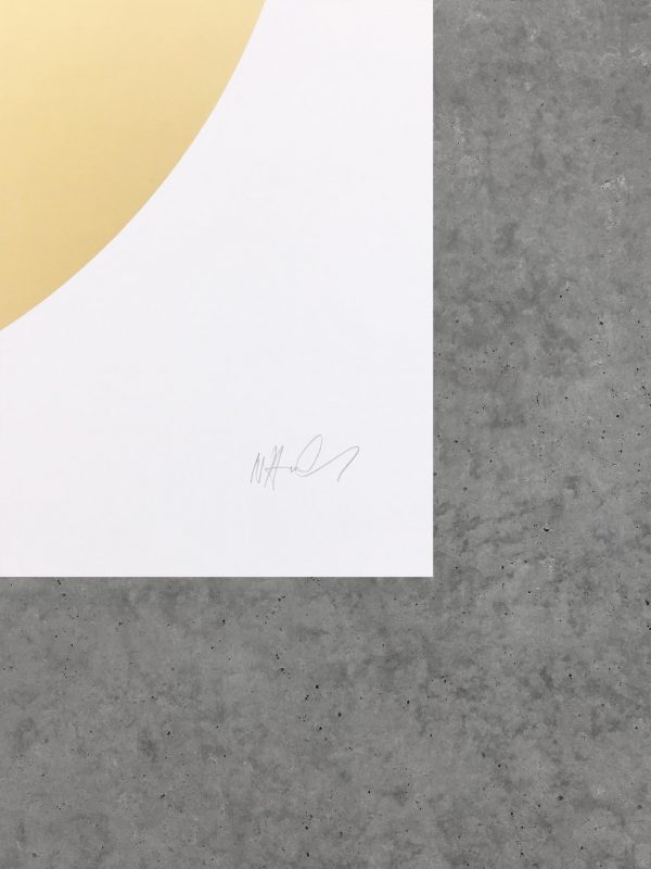symetria nicole hassler meteorite golden 2