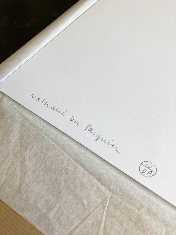 Symetria, Nathalie Du Pasquier, Nord