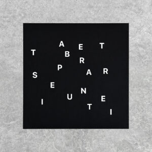 Nicolas Chardon Symetria peinture abstraite