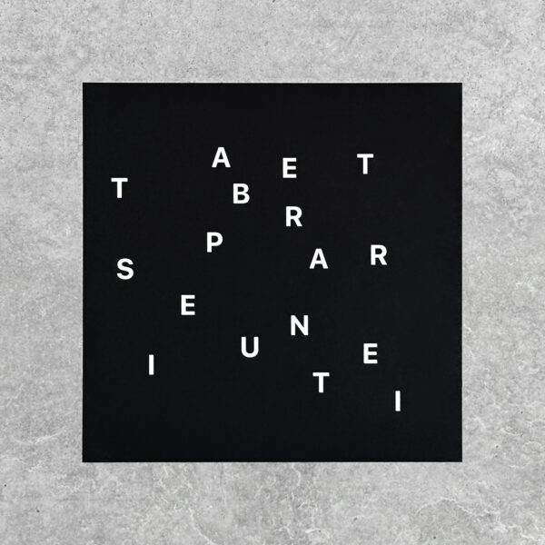 Nicolas Chardon Symetria peinture abstraite