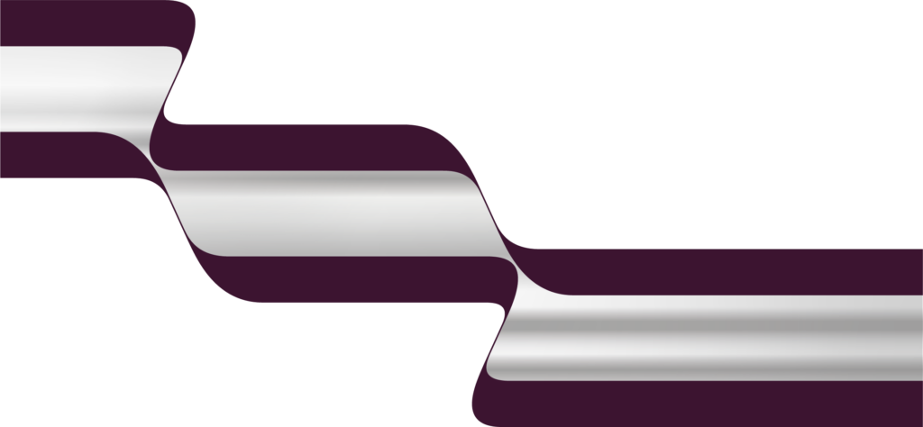 Terry Haggerty Push-Pull - SYMETRIA - Purple/Silver