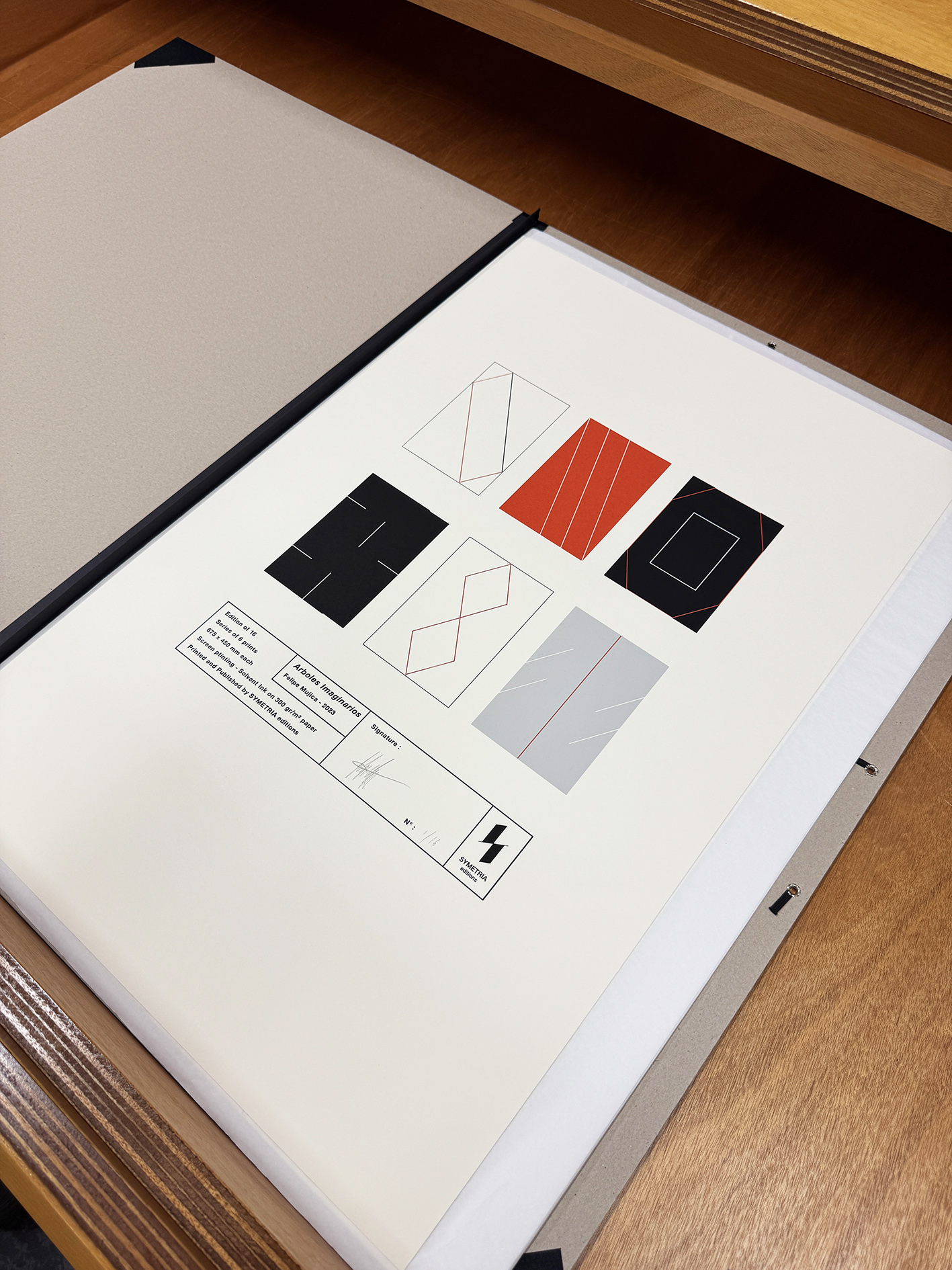 Felipe Mujica - Arboles Imaginarios - SYMETRIA art editions - 2024