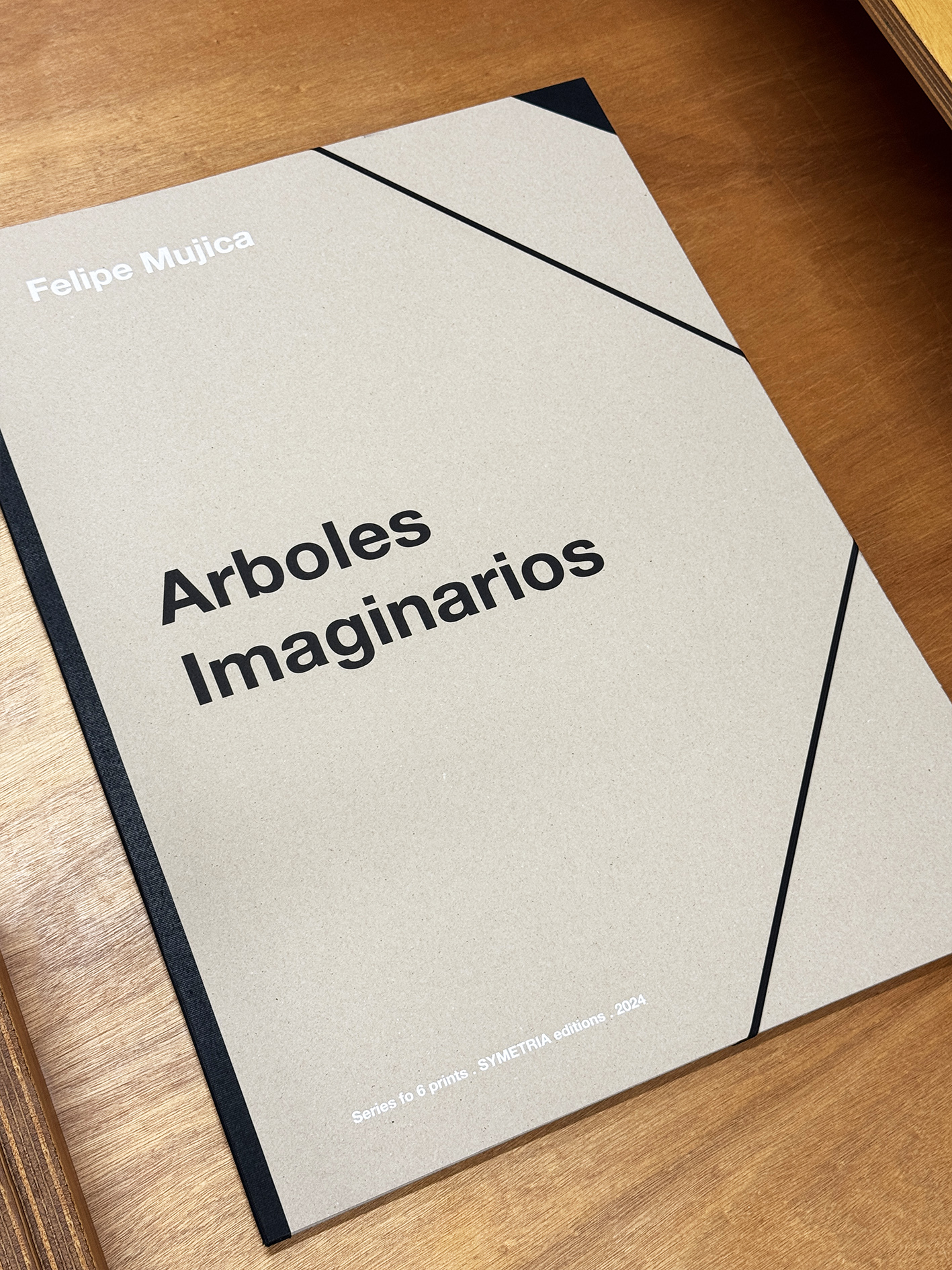 Felipe Mujica - Arboles Imaginarios - SYMETRIA art editions - 2024