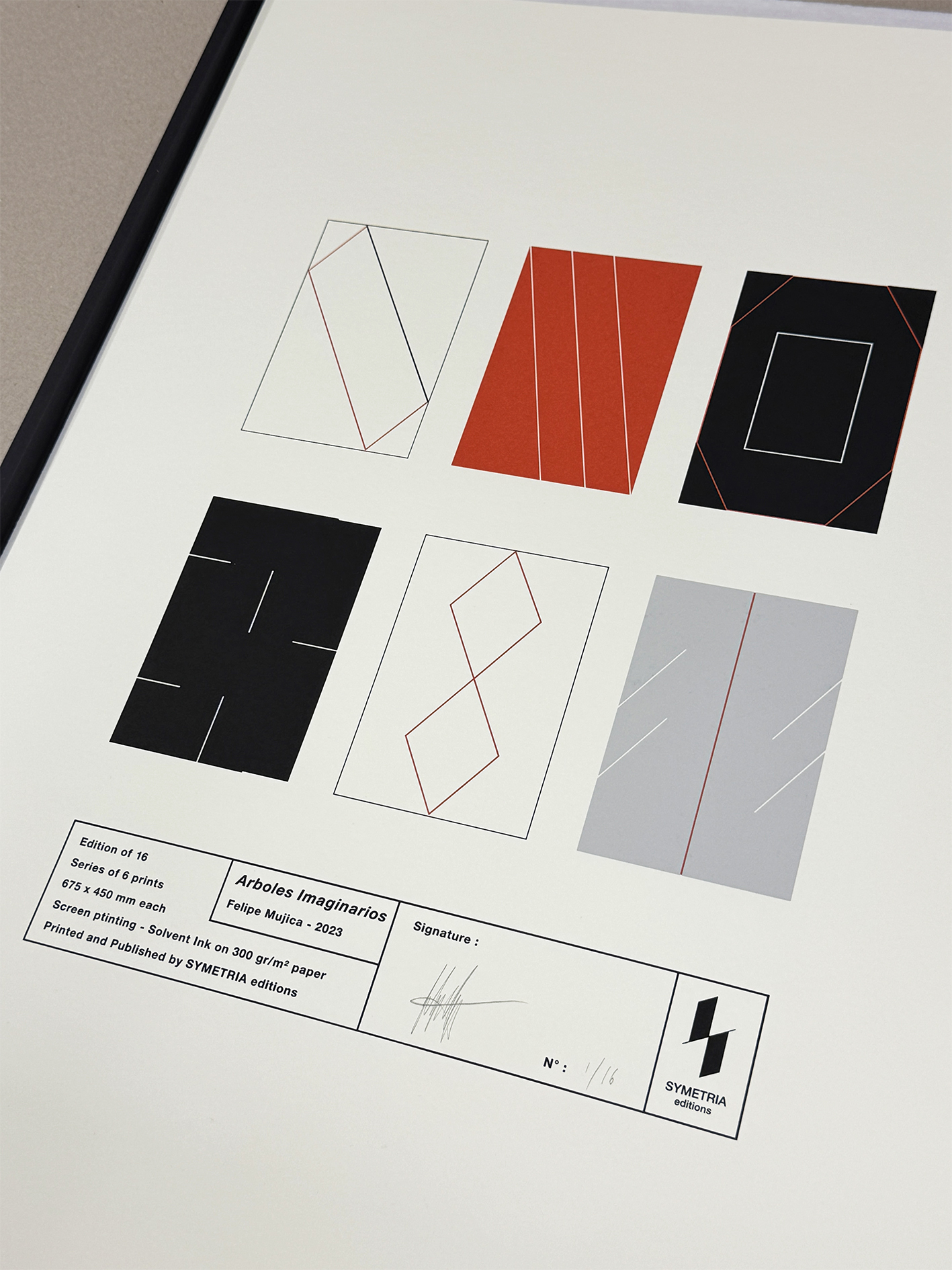 Felipe Mujica - Arboles Imaginarios - SYMETRIA art editions - 2024