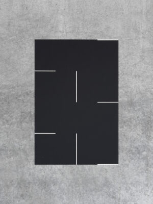 Felipe Mujica - Arboles Imaginarios - SYMETRIA art editions - 2024