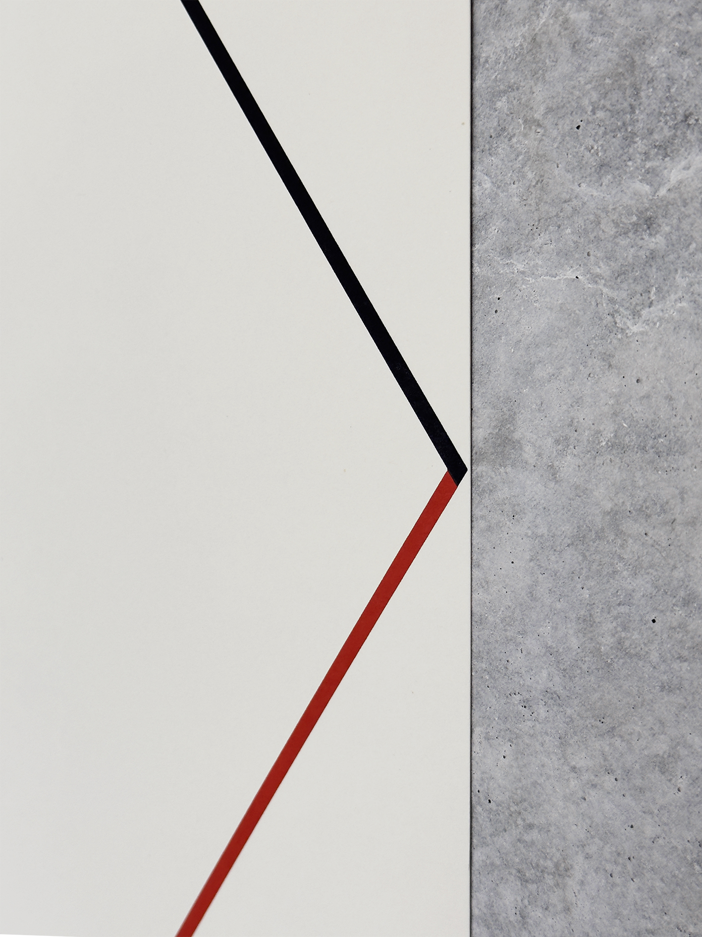 Felipe Mujica - Arboles Imaginarios - SYMETRIA art editions - 2024