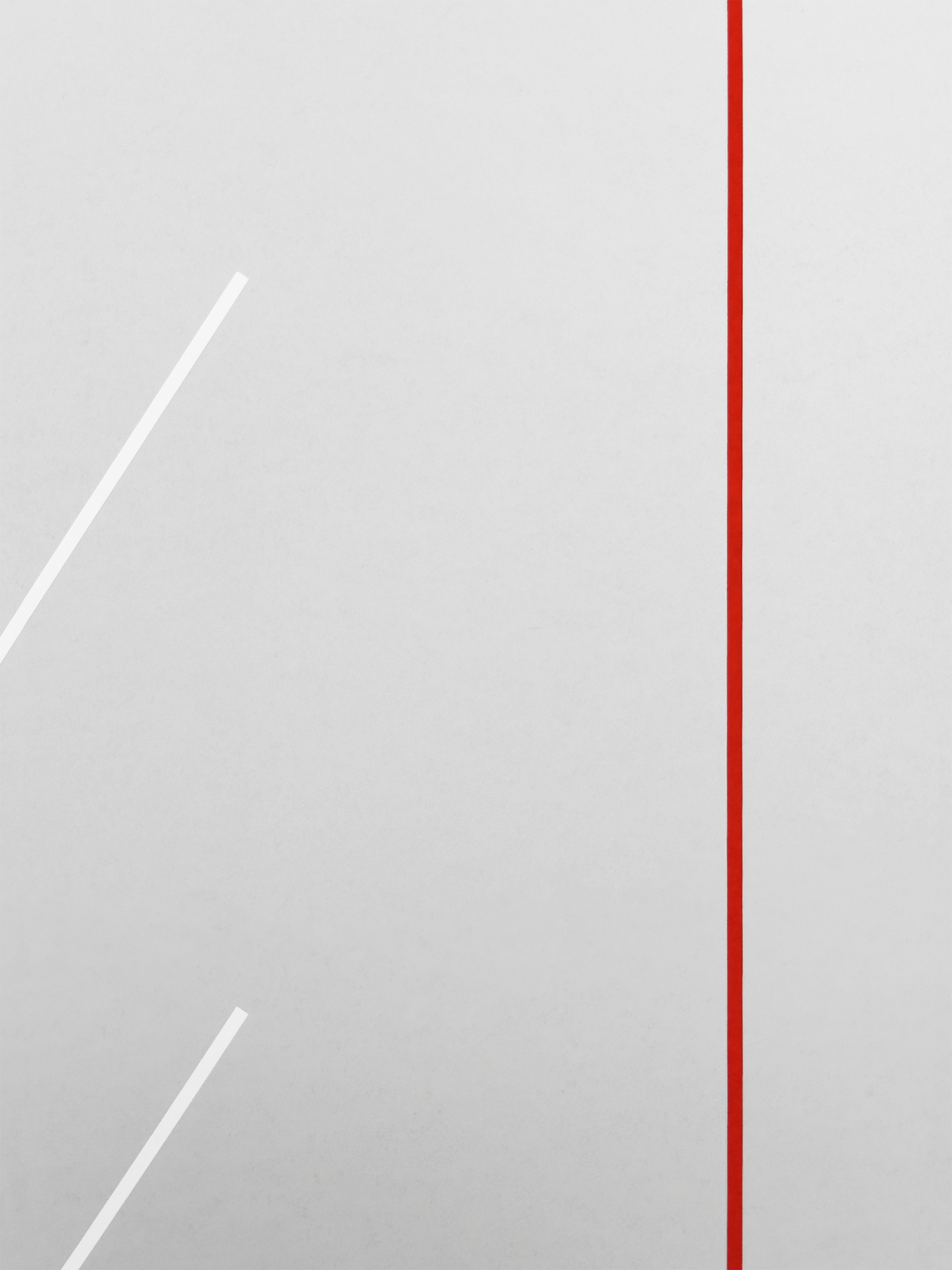 Felipe Mujica - Arboles Imaginarios - SYMETRIA art editions - 2024