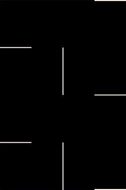 Felipe Mujica - Arboles Imaginarios - SYMETRIA art editions - 2024