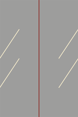 Felipe Mujica - Arboles Imaginarios - SYMETRIA art editions - 2024