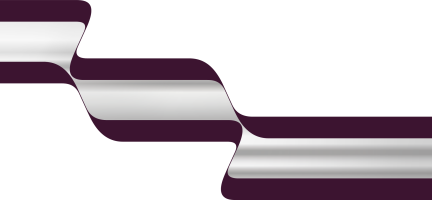 Terry Haggerty Push-Pull - SYMETRIA - Purple/Silver